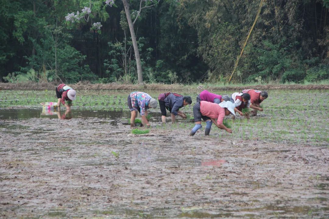 /website-webapp/ewebeditor/uploadfile/20230414112540914002