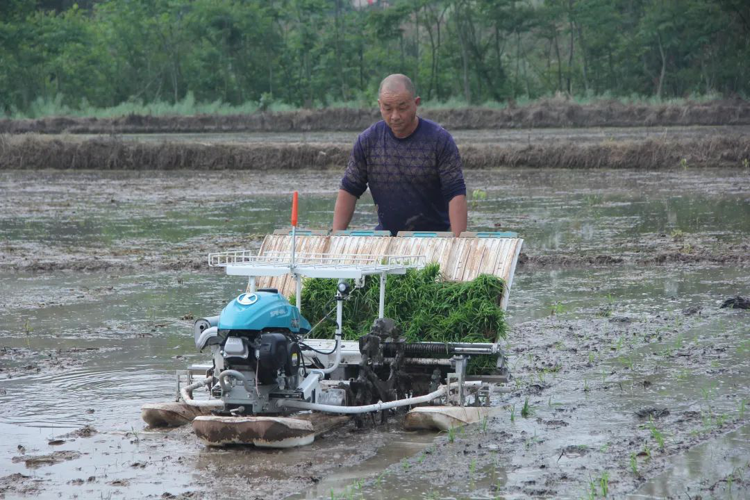 /website-webapp/ewebeditor/uploadfile/20230414112537417001