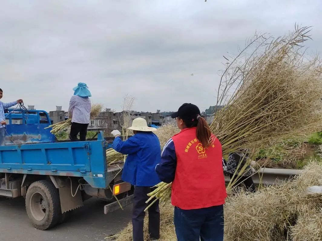 /website-webapp/ewebeditor/uploadfile/20230515105509777003