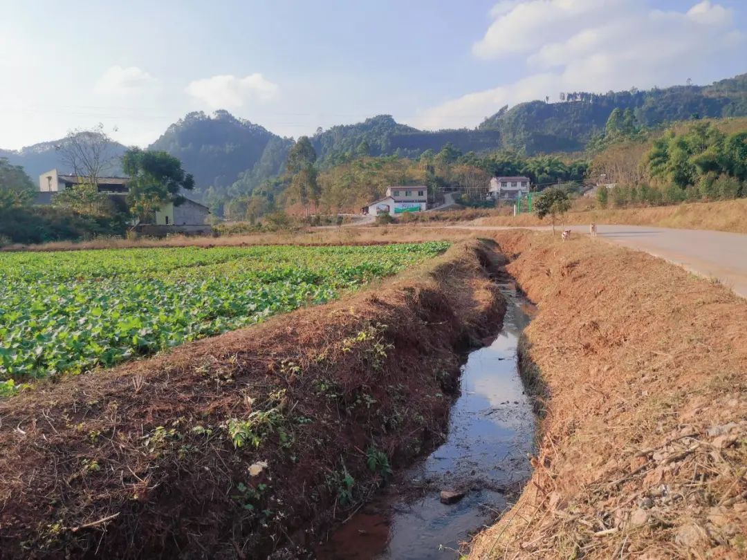 /website-webapp/ewebeditor/uploadfile/20230629094311938003