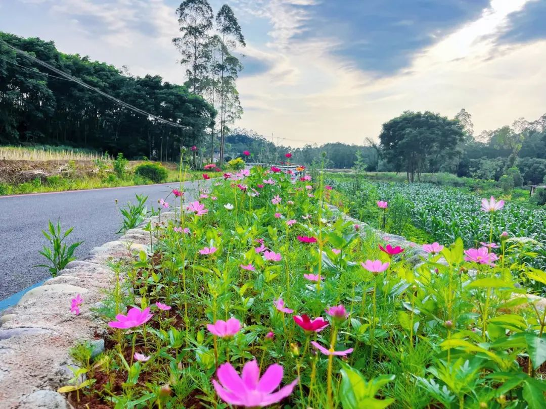 /website-webapp/ewebeditor/uploadfile/20230629094308349002