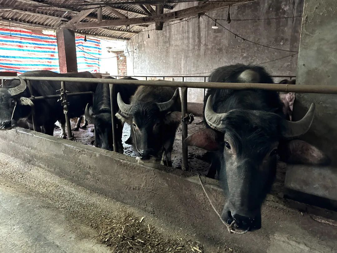 /website-webapp/ewebeditor/uploadfile/20230327145901409004