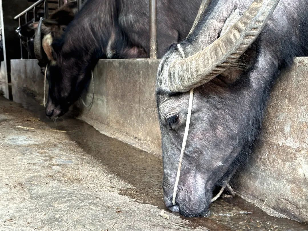 /website-webapp/ewebeditor/uploadfile/20230327145907844007