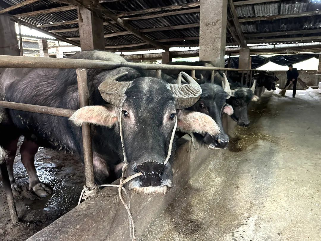 /website-webapp/ewebeditor/uploadfile/20230327145905832006