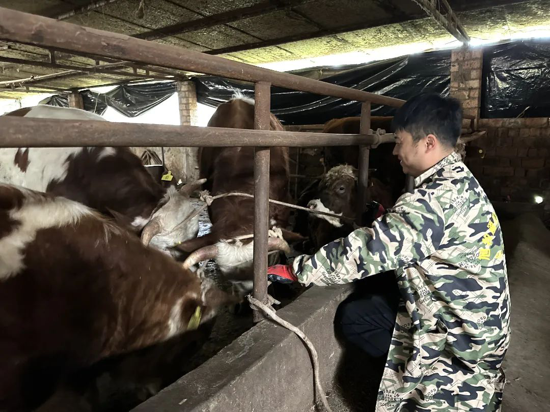 /website-webapp/ewebeditor/uploadfile/20230327145900162003