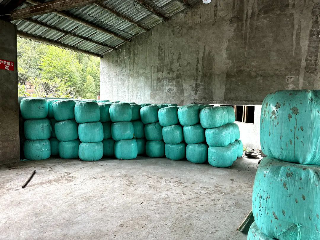 /website-webapp/ewebeditor/uploadfile/20230327145903769005