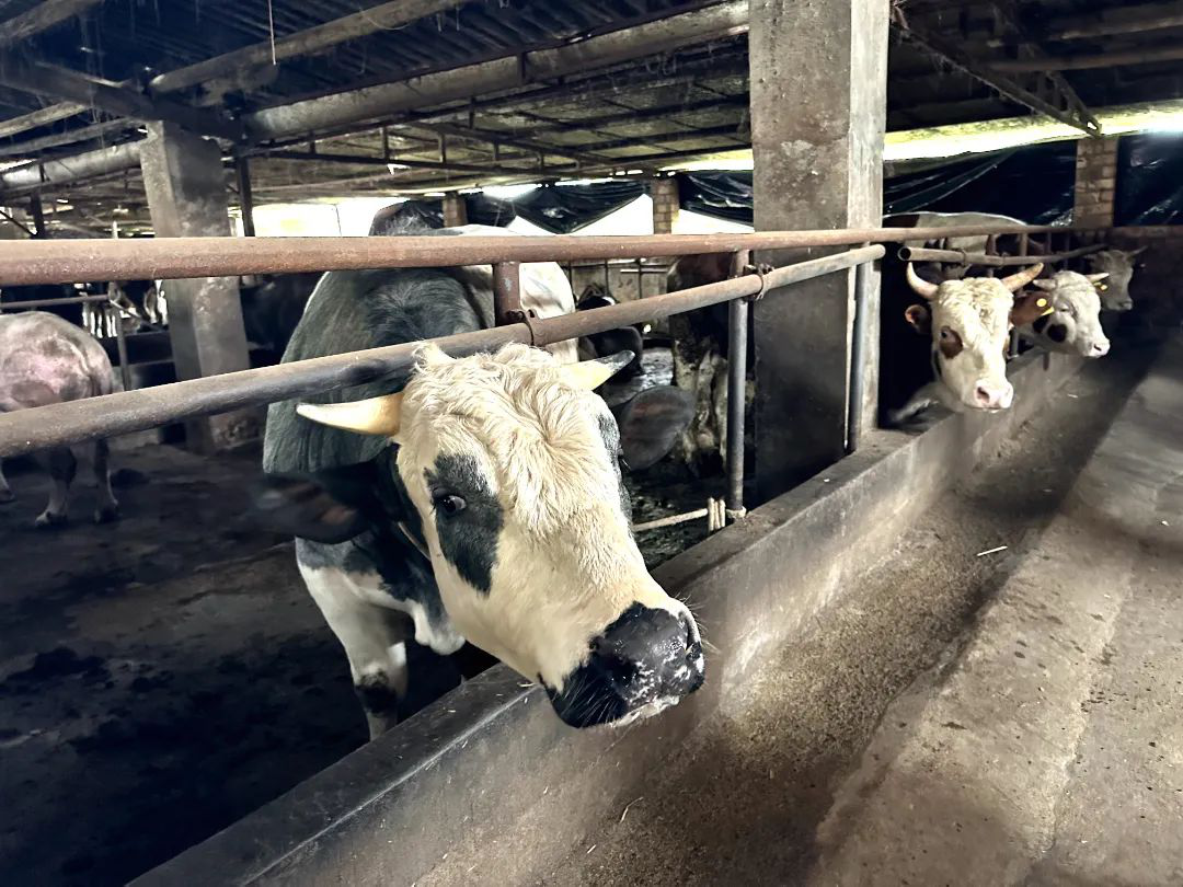 /website-webapp/ewebeditor/uploadfile/20230327145858999002