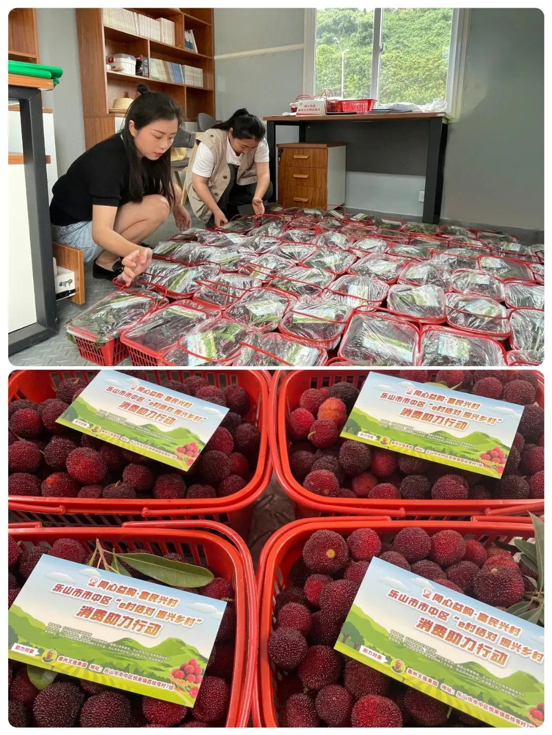 /website-webapp/ewebeditor/uploadfile/20230704101359292005