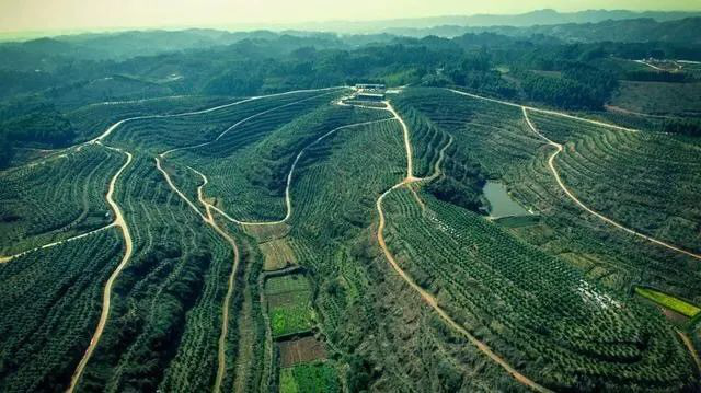 /website-webapp/ewebeditor/uploadfile/20220228103648941006