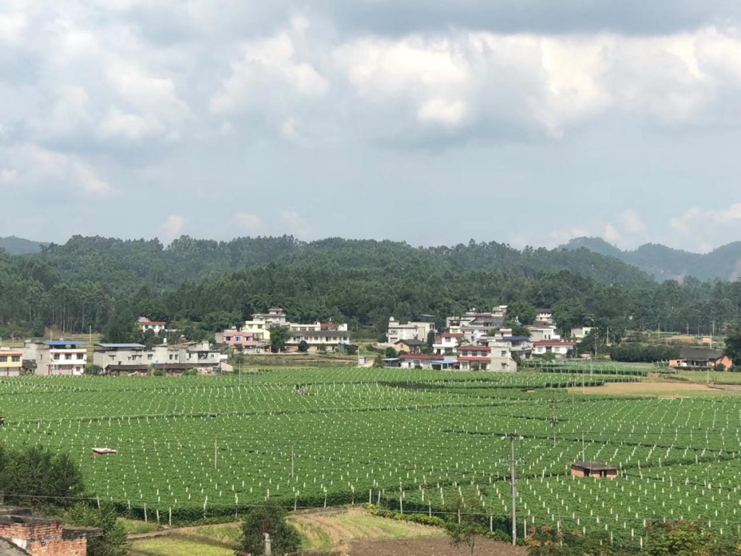 /website-webapp/ewebeditor/uploadfile/20220228103651116008