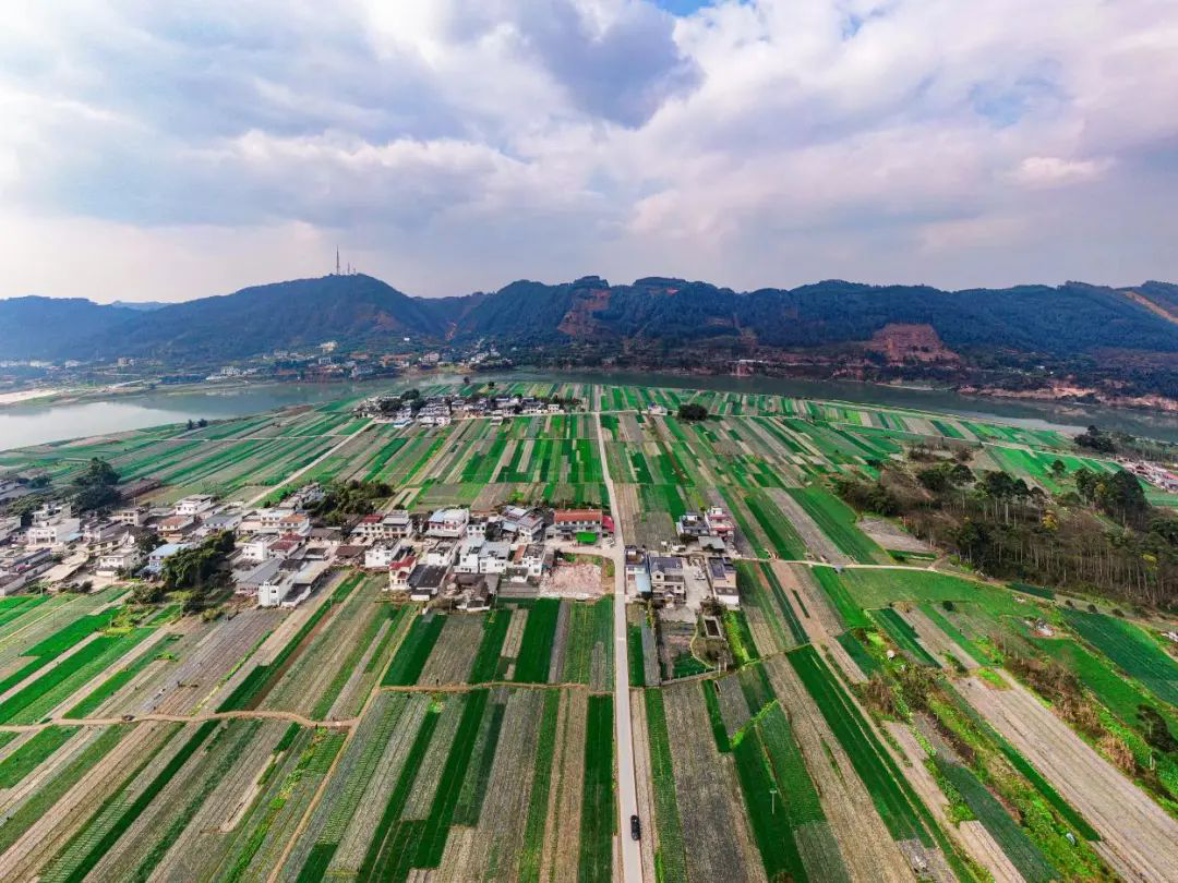 /website-webapp/ewebeditor/uploadfile/20230307113418556002