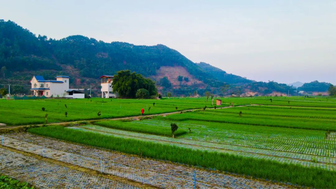 /website-webapp/ewebeditor/uploadfile/20230307113419650003