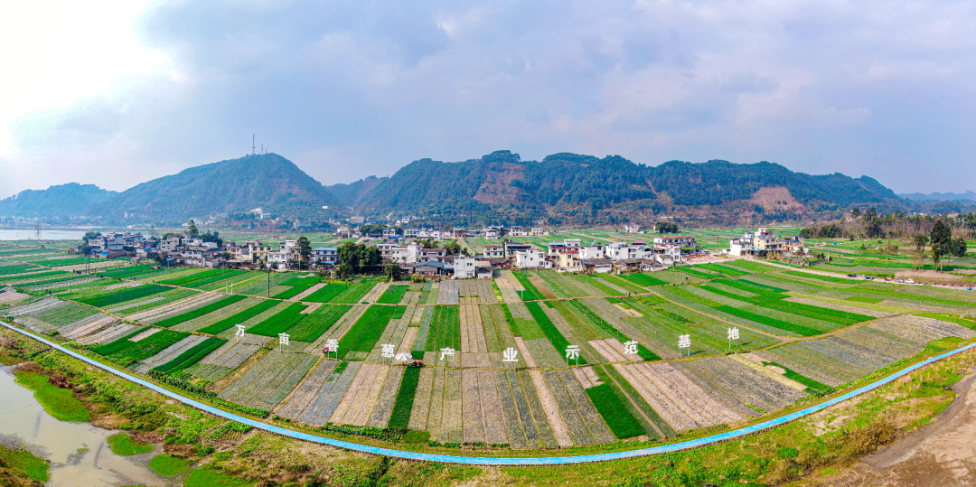 /website-webapp/ewebeditor/uploadfile/20230307113414937001