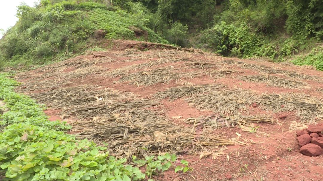 /website-webapp/ewebeditor/uploadfile/20220914112300138004