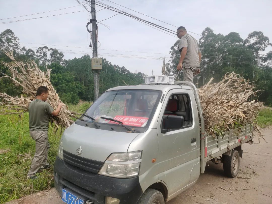 /website-webapp/ewebeditor/uploadfile/20220914112249720001