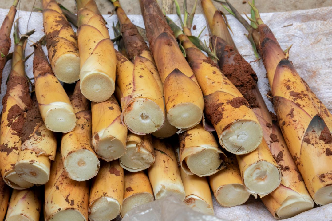 /website-webapp/ewebeditor/uploadfile/20230508100313324003