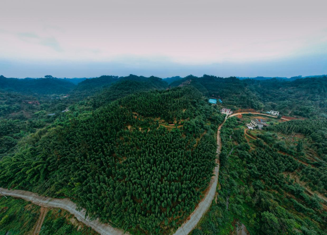 /website-webapp/ewebeditor/uploadfile/20230508100310184001