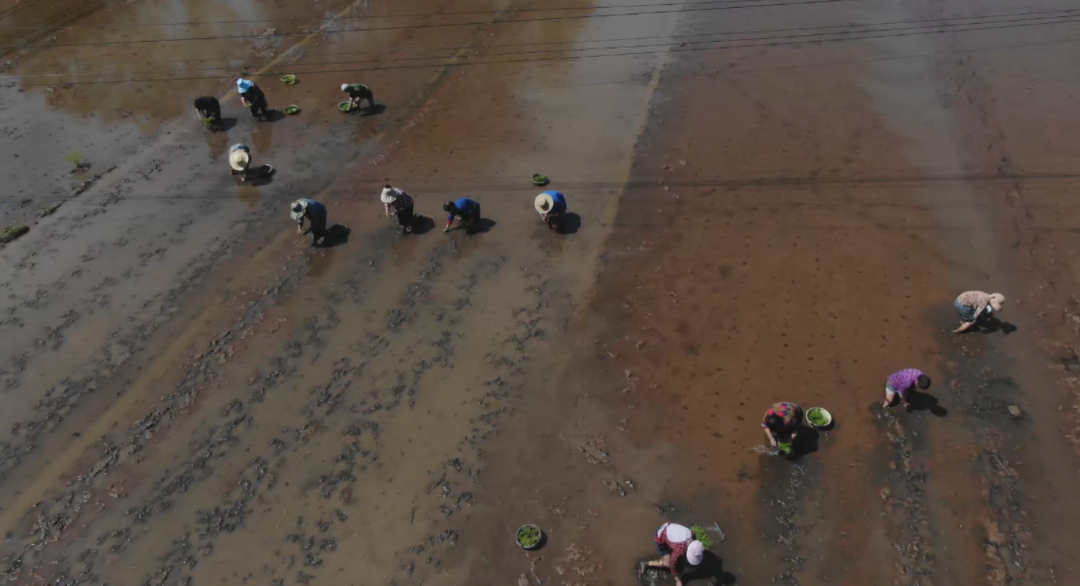 /website-webapp/ewebeditor/uploadfile/20230413093428231003