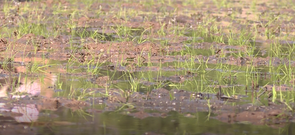 /website-webapp/ewebeditor/uploadfile/20230413093416601001