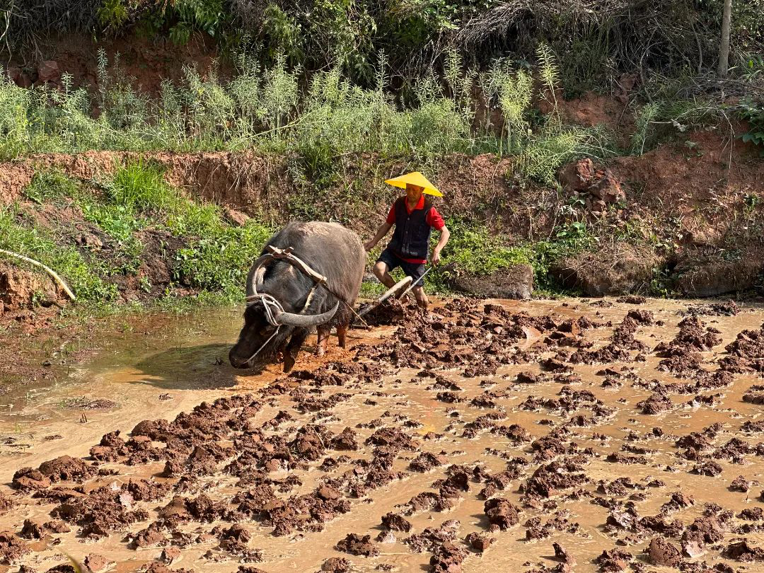 /website-webapp/ewebeditor/uploadfile/20230413093425355002