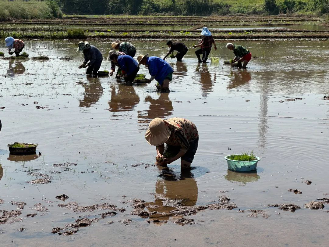 /website-webapp/ewebeditor/uploadfile/20230413093432124004