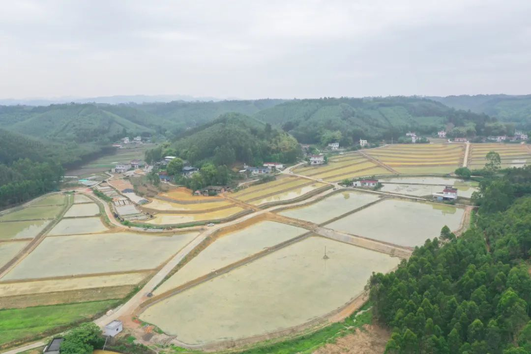 /website-webapp/ewebeditor/uploadfile/20230522095251314007