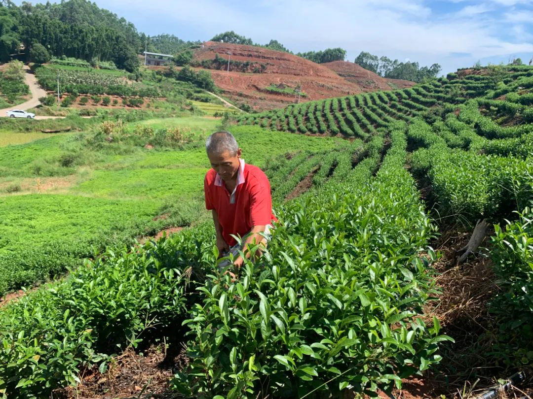 /website-webapp/ewebeditor/uploadfile/20220812142043269001