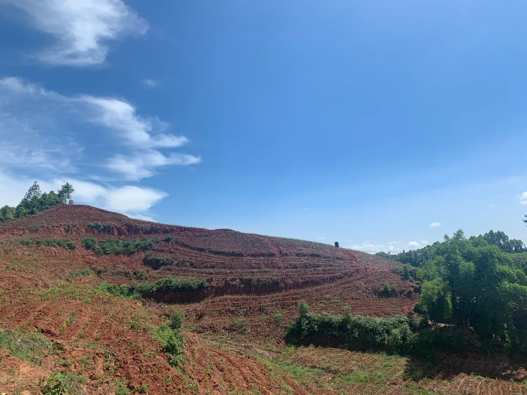 /website-webapp/ewebeditor/uploadfile/20220812142049608003