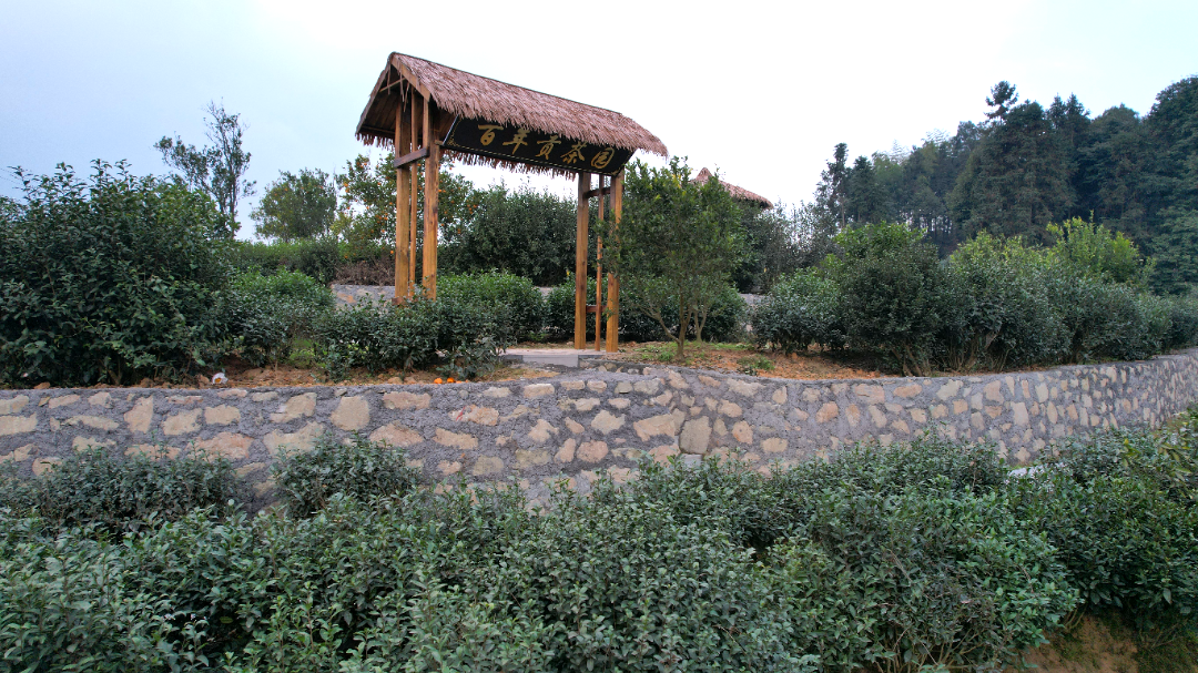 /website-webapp/ewebeditor/uploadfile/20230320105455534002