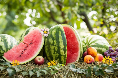 /website-webapp/ewebeditor/uploadfile/20230625111853919008