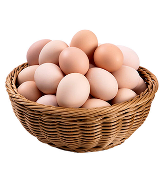 /website-webapp/ewebeditor/uploadfile/20230625111848491007