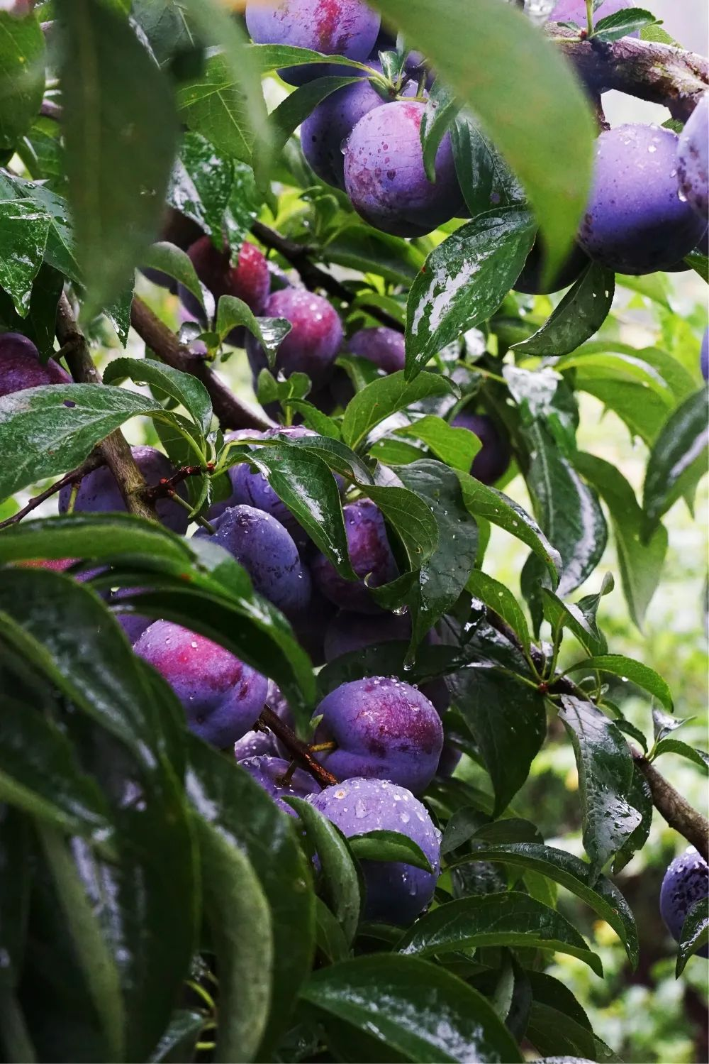 /website-webapp/ewebeditor/uploadfile/20230625112249556010