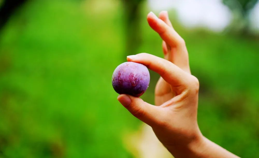 /website-webapp/ewebeditor/uploadfile/20230625112238464007