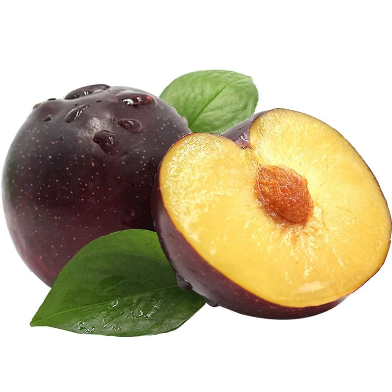 /website-webapp/ewebeditor/uploadfile/20230625112231962003