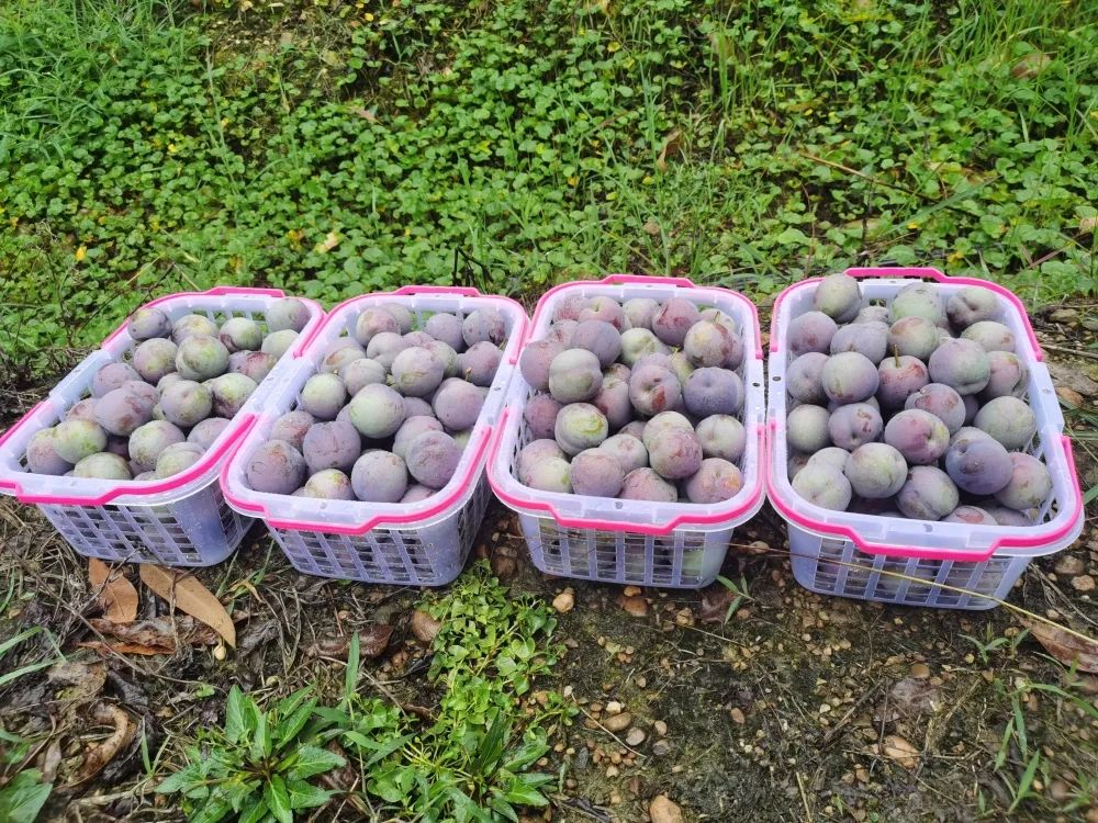 /website-webapp/ewebeditor/uploadfile/20230625112235967005