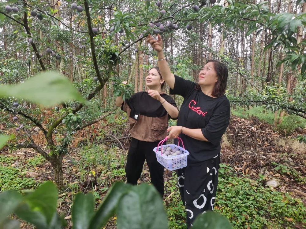 /website-webapp/ewebeditor/uploadfile/20230625112233496004