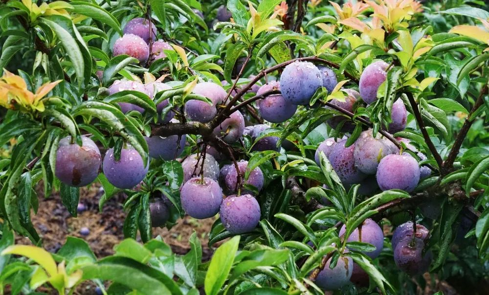 /website-webapp/ewebeditor/uploadfile/20230625112229298002