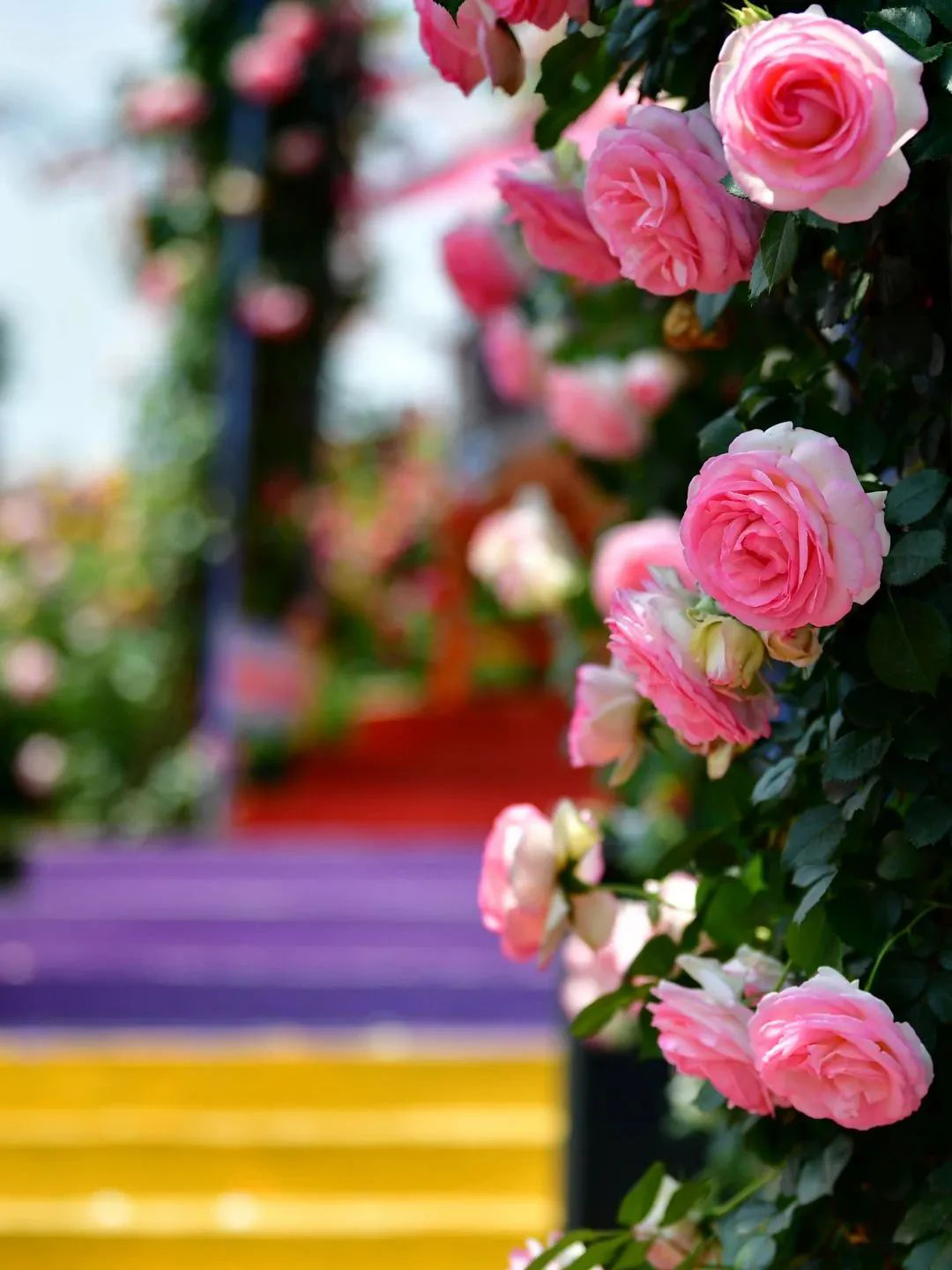 /website-webapp/ewebeditor/uploadfile/20230423104214898008