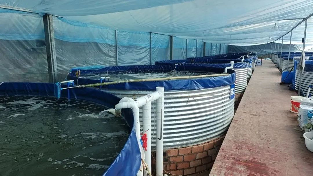 /website-webapp/ewebeditor/uploadfile/20230423104209468007