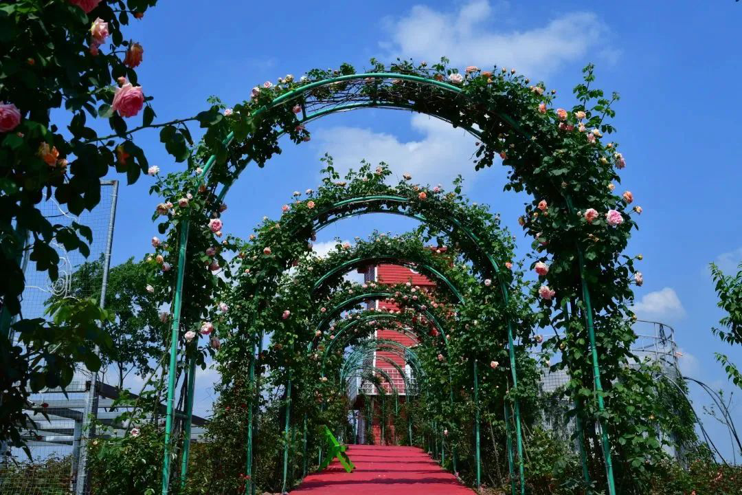 /website-webapp/ewebeditor/uploadfile/20230423104216807009