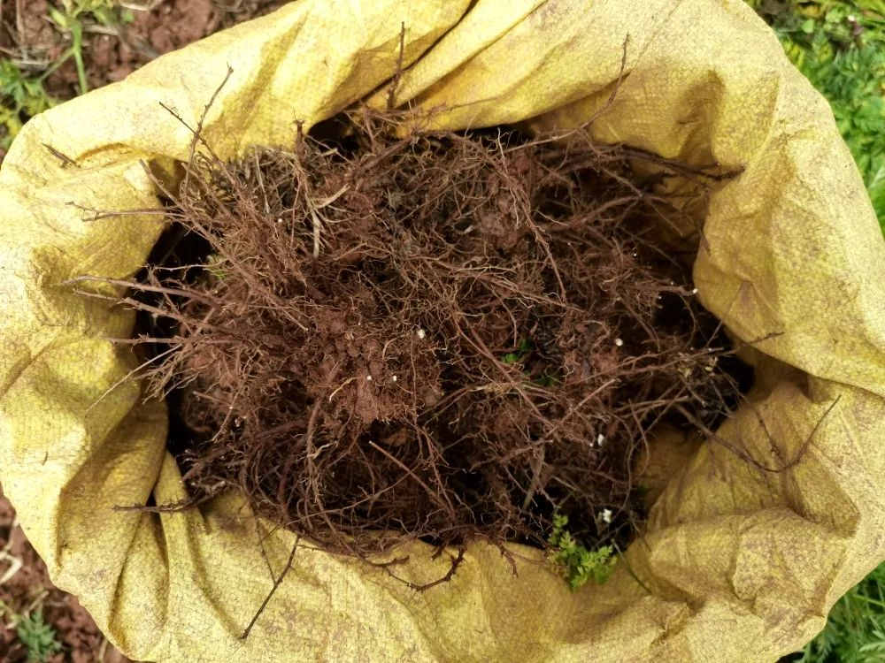 /website-webapp/ewebeditor/uploadfile/20230522095611960006