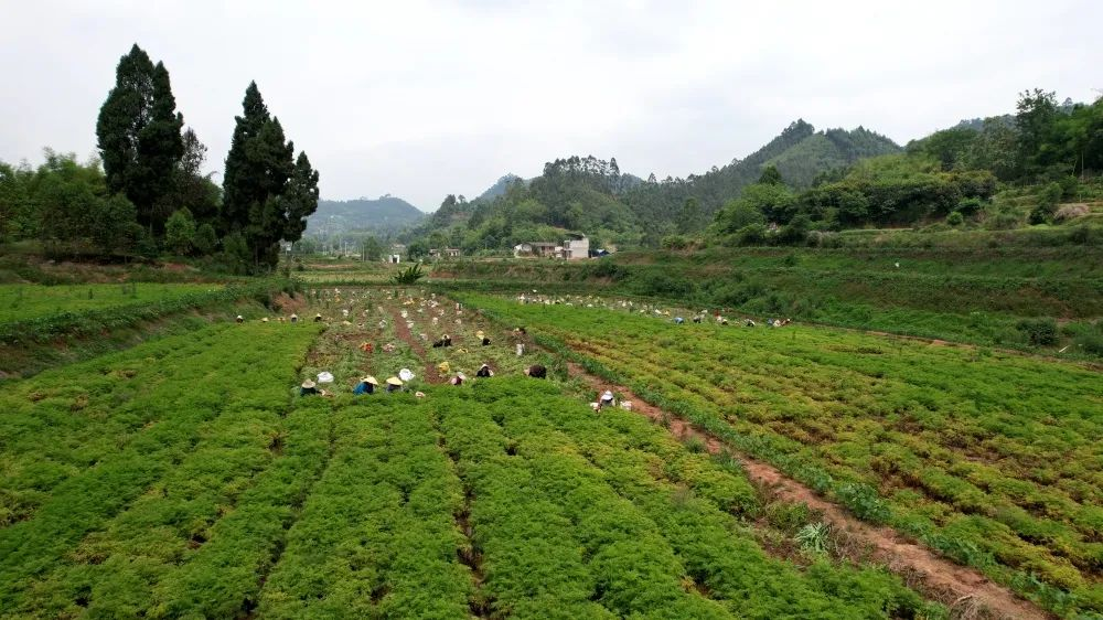 /website-webapp/ewebeditor/uploadfile/20230522095605774001