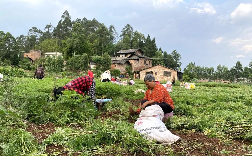 /website-webapp/ewebeditor/uploadfile/20230522095606815002