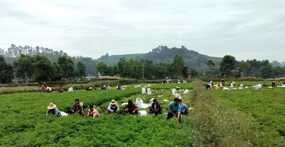 /website-webapp/ewebeditor/uploadfile/20230522095607263003