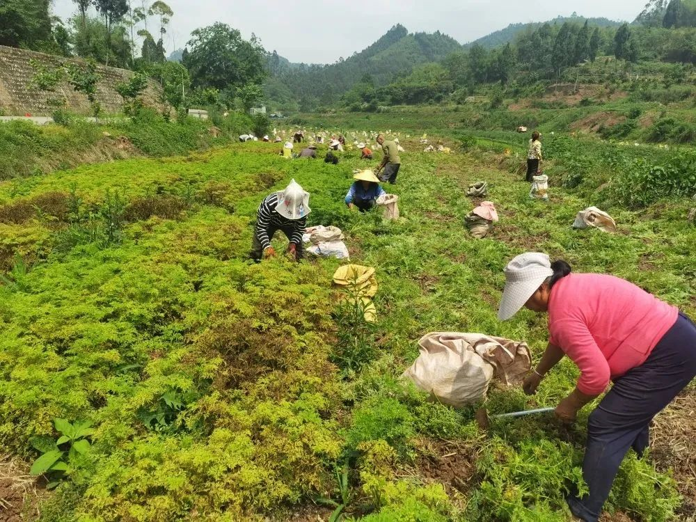 /website-webapp/ewebeditor/uploadfile/20230522095610136005