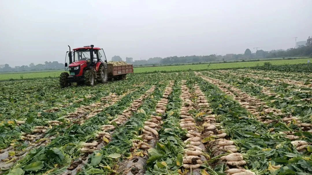 /website-webapp/ewebeditor/uploadfile/20221031143449776005