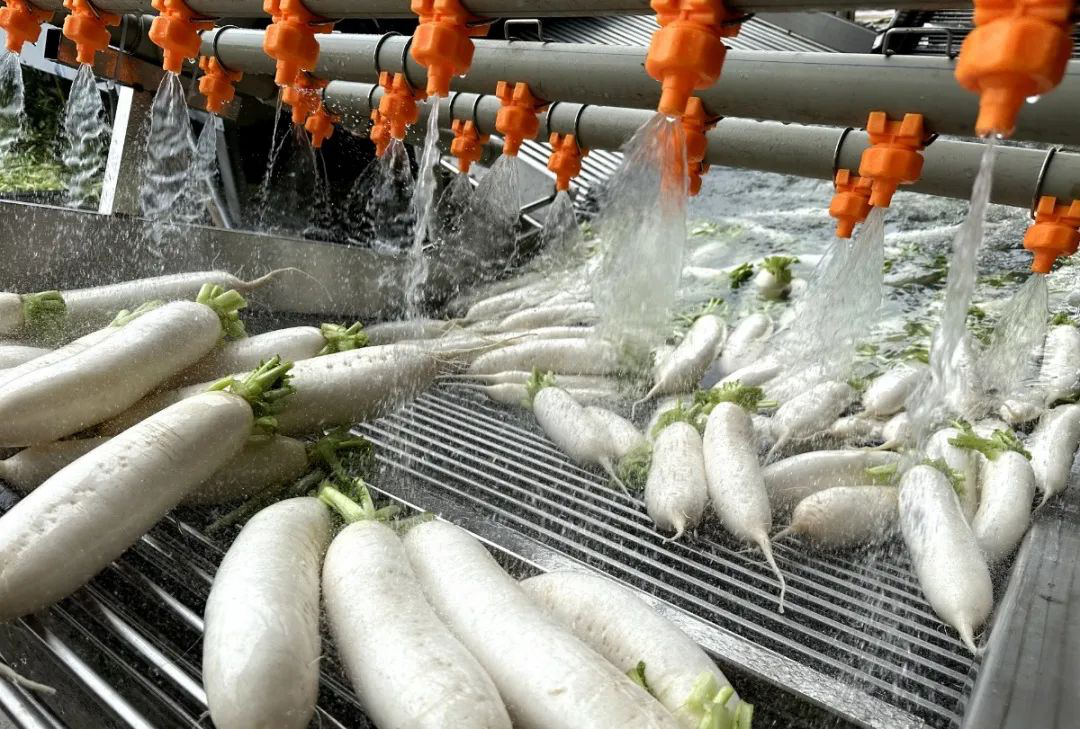 /website-webapp/ewebeditor/uploadfile/20221031143448144004