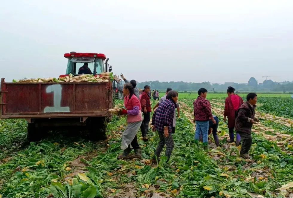 /website-webapp/ewebeditor/uploadfile/20221031143443119001