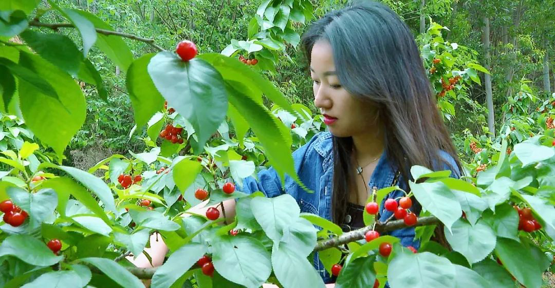 /website-webapp/ewebeditor/uploadfile/20230417102126515003