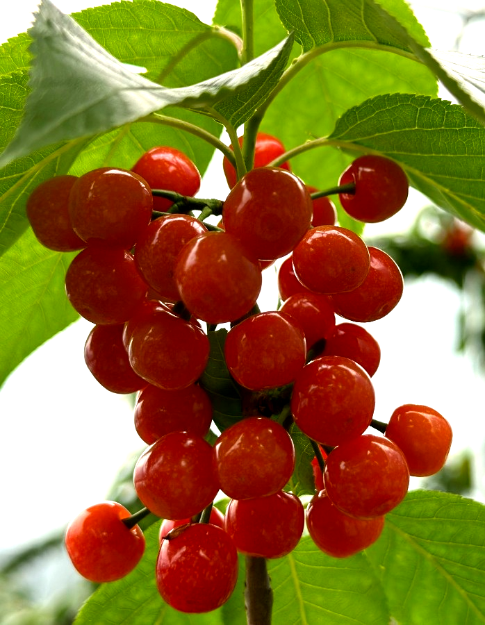 /website-webapp/ewebeditor/uploadfile/20230417102117283001